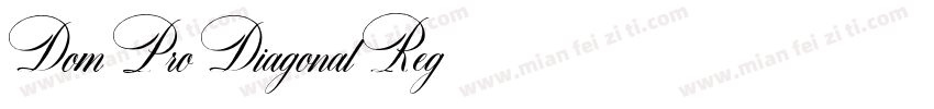 Dom Pro Diagonal Reg字体转换